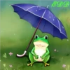 Frogs 12