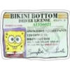 Bob Esponja #2 12