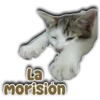 Persy Morisión