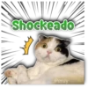 Shockeado Persy