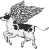 COW 14