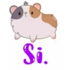 Si.