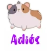 Adiós