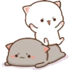 Mochi Cat gif 20