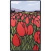 Flores 19