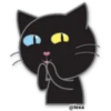 🖤🐱Black Cat🐱🖤 13