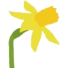 Flores 20