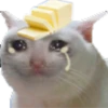 Gatos uwu 17