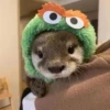 Otters Moods 14