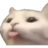 Gatos uwu 19