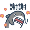 鯊魚先生 16