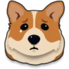 Corgi emojis 🐶 10