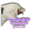 Persy No-Me mires que me da penita