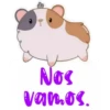 Nos vamos.