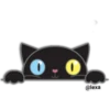 🖤🐱Black Cat🐱🖤 16