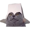 Gatitos 18