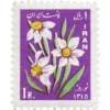 Flores 25