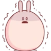 🐇Conejo rosita🐇 22