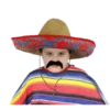 Big hot sombrero men 13
