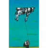 COW 22
