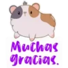 Muchas gracias.
