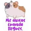 Me avisas Cuando llegues.