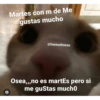 mucha risa pt 5 5