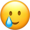 iPhone Emoji Most Wanted 16