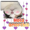 Persy Hola amorchis