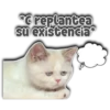 *C replantea su existencia* Persy