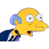 The Simpsons 14