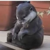 Otters Moods 19