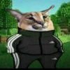Big Floppa Part 2 21