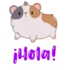 jblon!