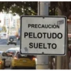 Cálmese - Peleas 2 19