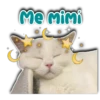 Me Mimi Persy