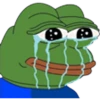 Emote 13