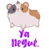Ya llegué.