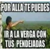 xdddd 17