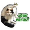 Persy ¿Qué Miras?
