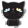 🖤🐱Black Cat🐱🖤 21