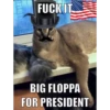 Big Floppa Part 2 24