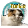 Persy Turbio
