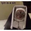 lyin is a sin
