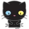🖤🐱Black Cat🐱🖤 24