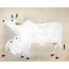 COW 27