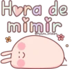 🐇Conejo rosita🐇 24