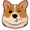 Corgi emojis 🐶 14