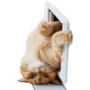 Gatitos 26