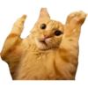 Gatitos 27